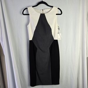 Calvin Klein Colorblock Sheath Dress Size 4 Career Boss Lady Classic Old Money